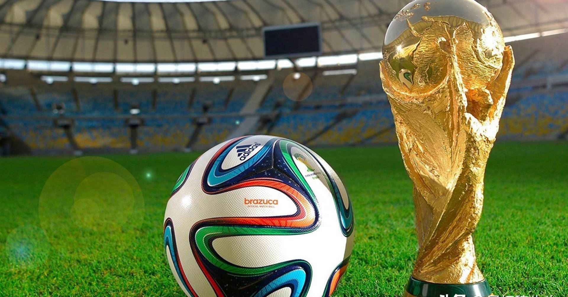 无疑将成为 无疑将成为